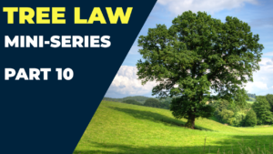 Who Is Responsible For The Tree In My Garden? | Tree Law Miniseries Part 10