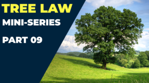 Does Home Insurance Cover Tree Damage? | Tree Law Miniseries