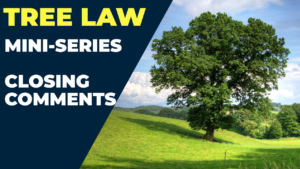 How To Settle A Tree Law Dispute | Tree Law Miniseries Closing Comments