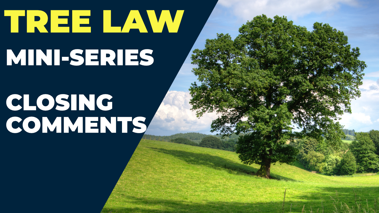 How To Settle A Tree Law Dispute Tree Law Miniseries Closing Comments